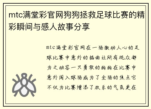 mtc满堂彩官网狗狗拯救足球比赛的精彩瞬间与感人故事分享